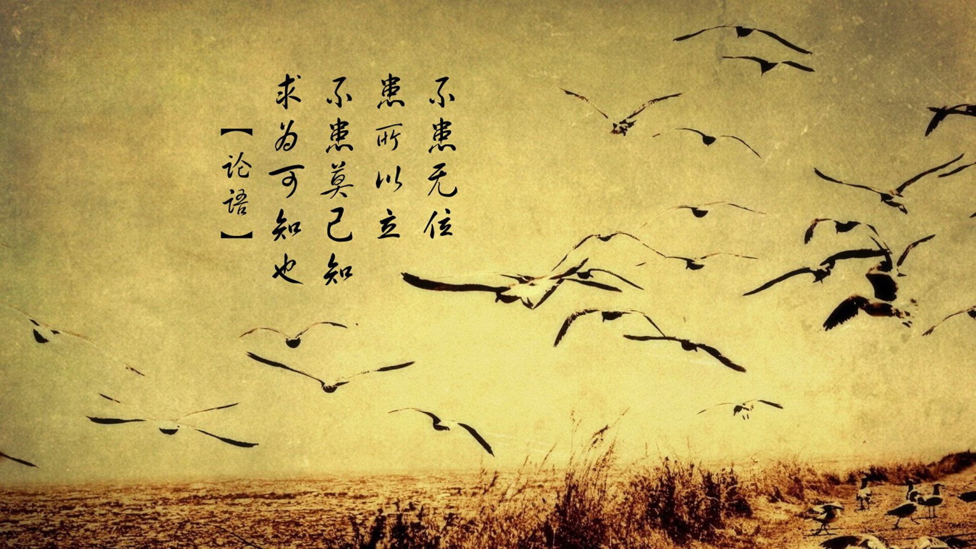 乐鱼电竞在线平台-“英超战火不断，夺冠队伍展开新一轮角逐”，英超争冠