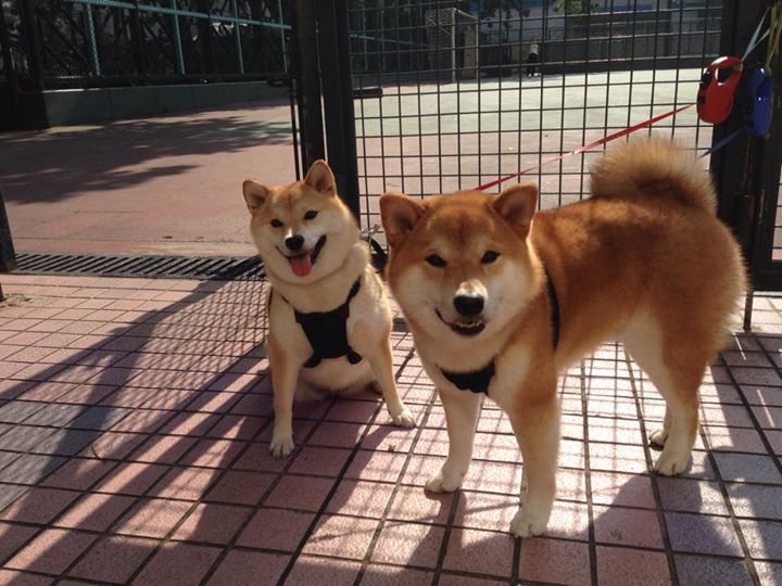 《校园电竞联赛火热进行:青春竞技再扬帆》,校园电竞比赛的宣传语