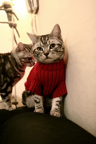 争夺白热化：车手积分榜最新战况