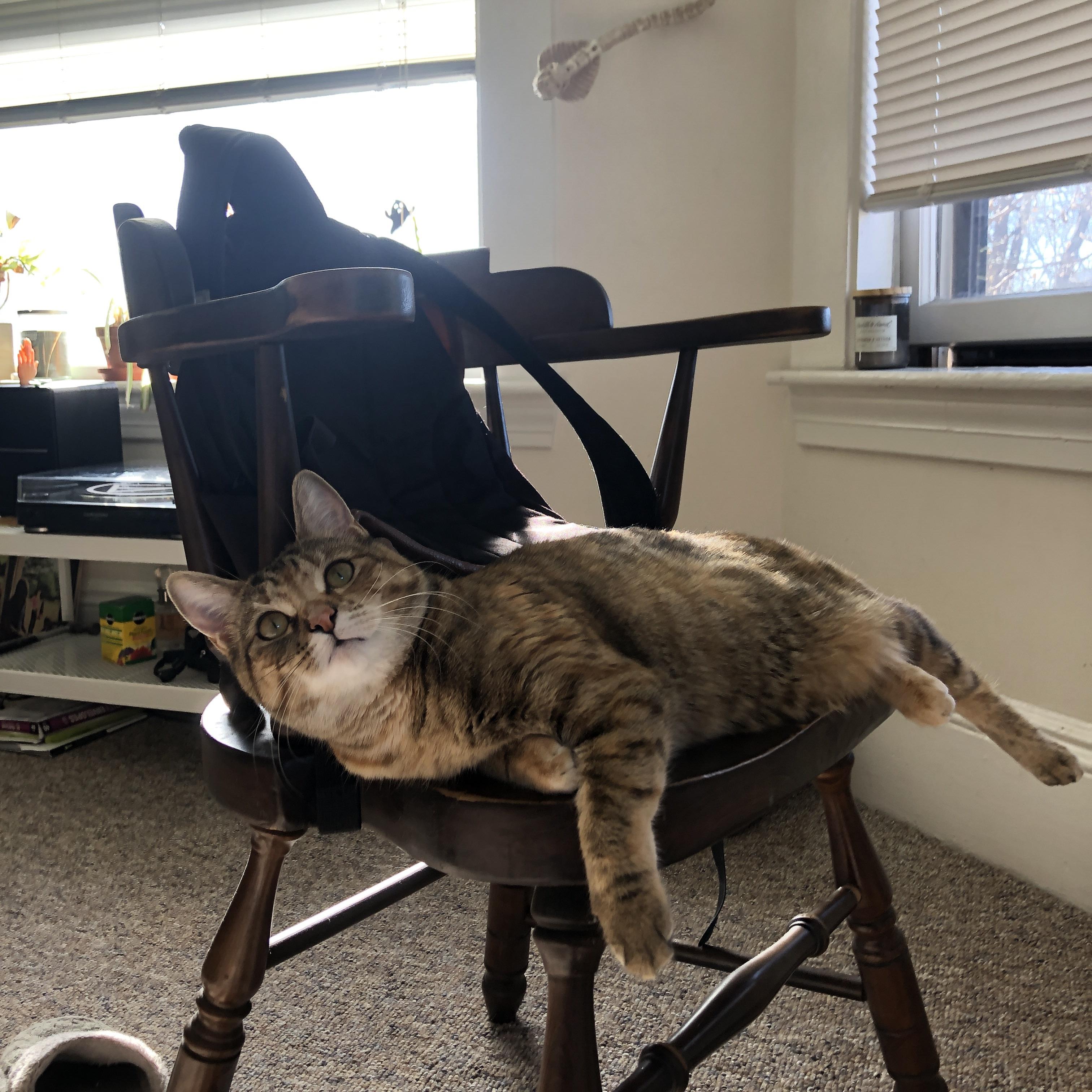 乐鱼官方登录入口-全场焦点：李明全面爆发，攻防两端都留下一道亮丽的足迹！，李明tomo