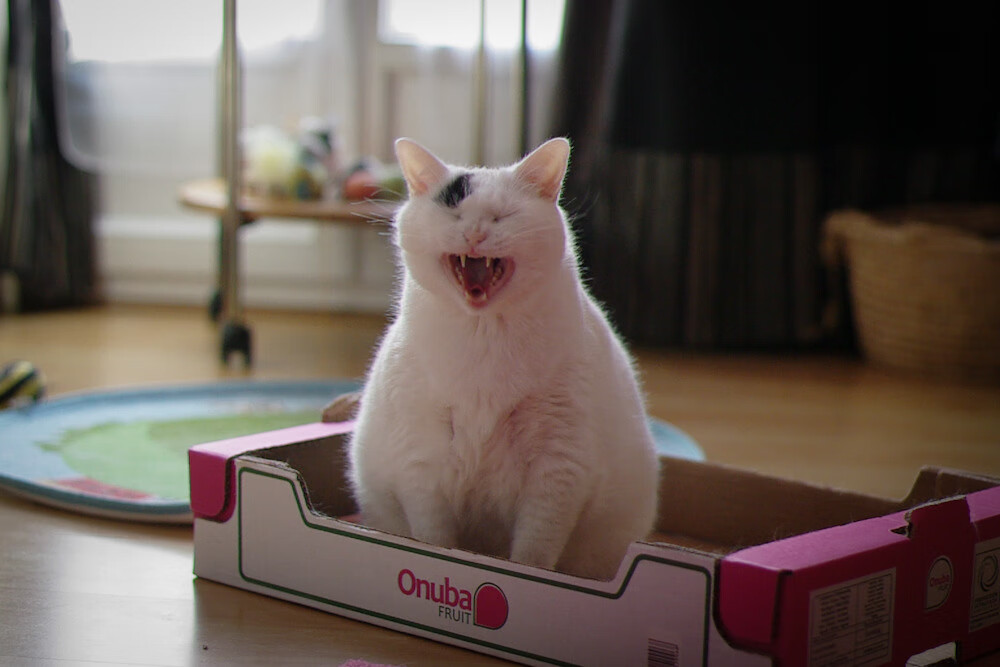 普利西奇连续4场助攻,成为切尔西的绝对核心,普利西奇连续4场助攻,成为切尔西的绝对核心