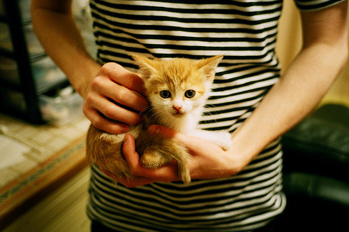 普拉提与冥想结合,促进身心平衡,普拉提冥想词