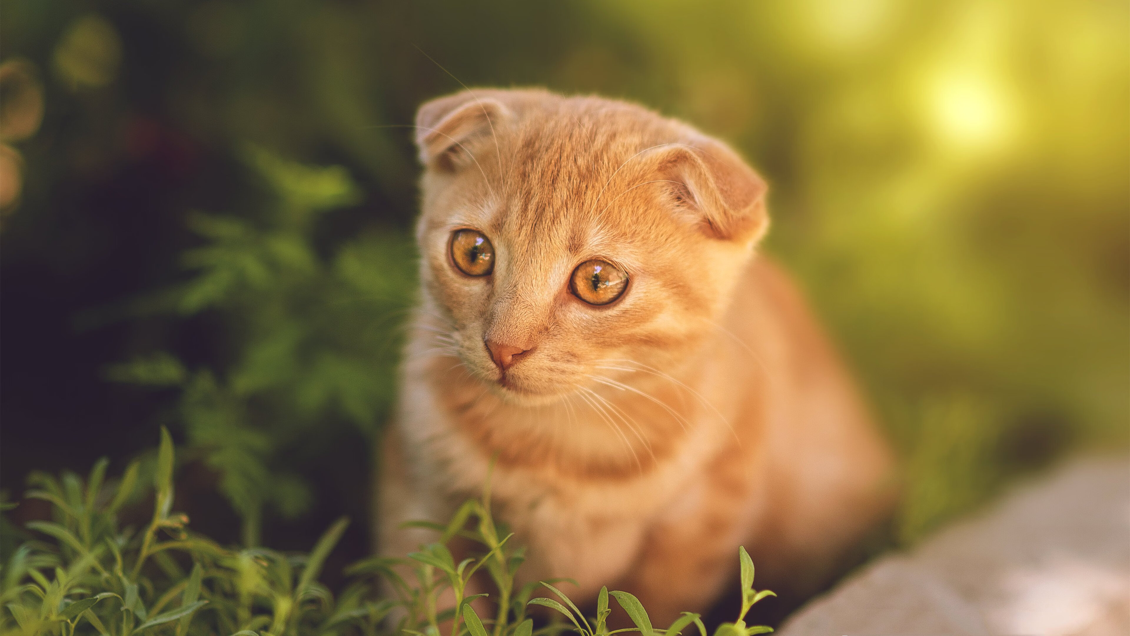 特色青训“技能+素养”双轨升级，加快青少年成长速度