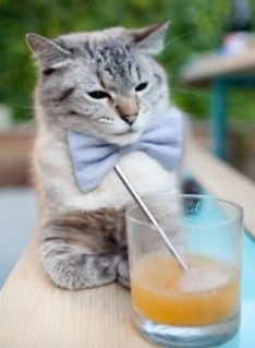 青少年“绿色训练”实践在青海成功试点,环保理念深入人心,青少年绿色行动