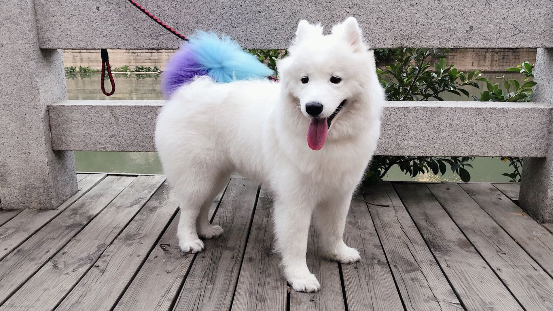 瑞士胜土耳其,欧洲国家联赛竞争激烈,瑞士胜土耳其,欧洲国家联赛竞争激烈吗