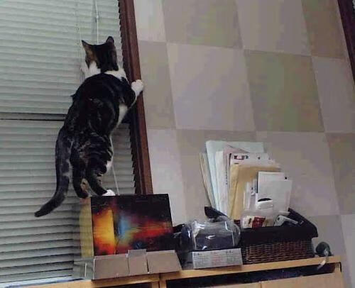 中国足球技术动作失误分类数据，足球失误动图