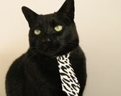 中小学体育教师职业发展现状及对策,中小学体育教师的专业素养