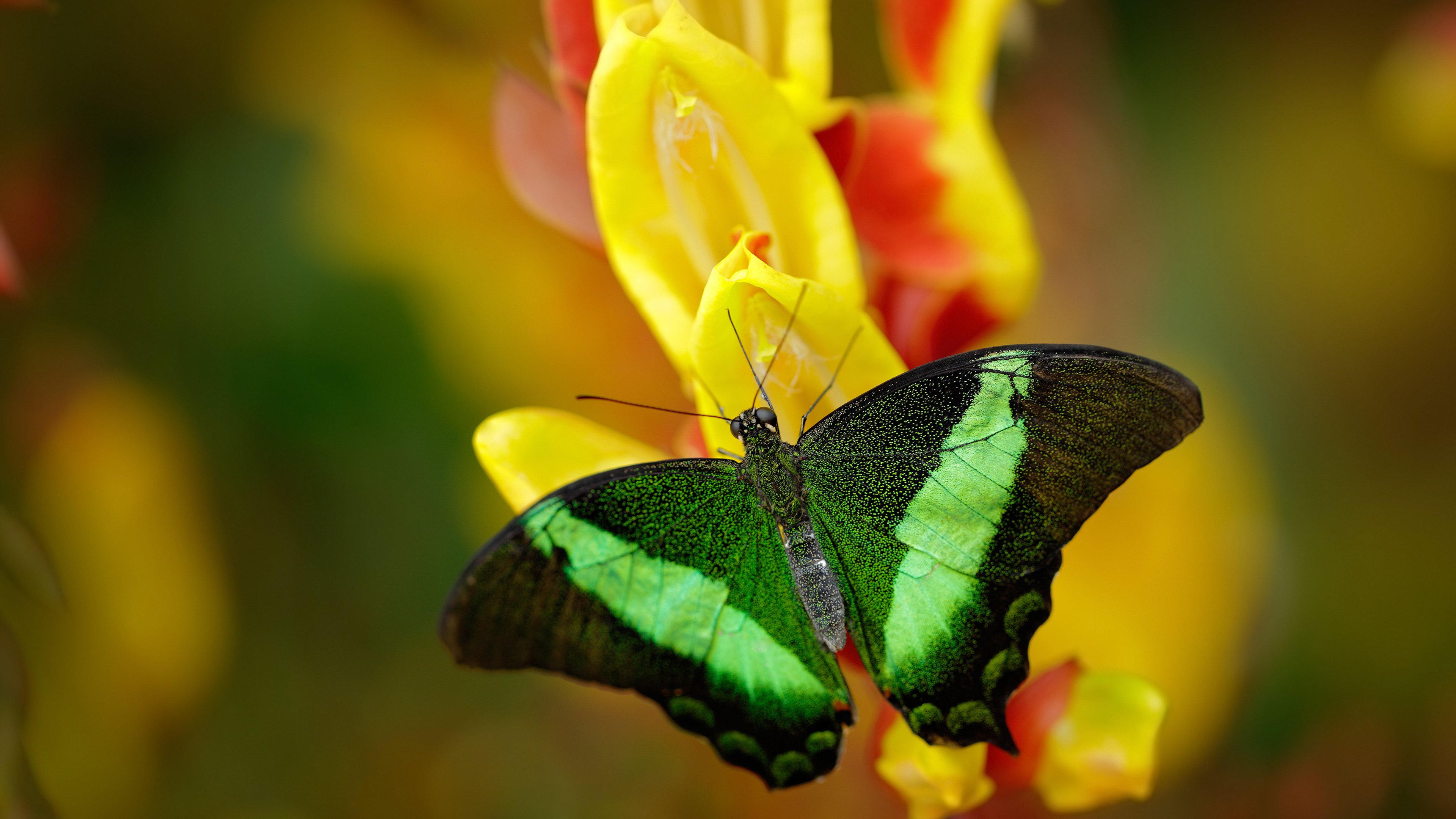 青少年体育运动安全教育体系构建研究，青少年体育教育的重要性