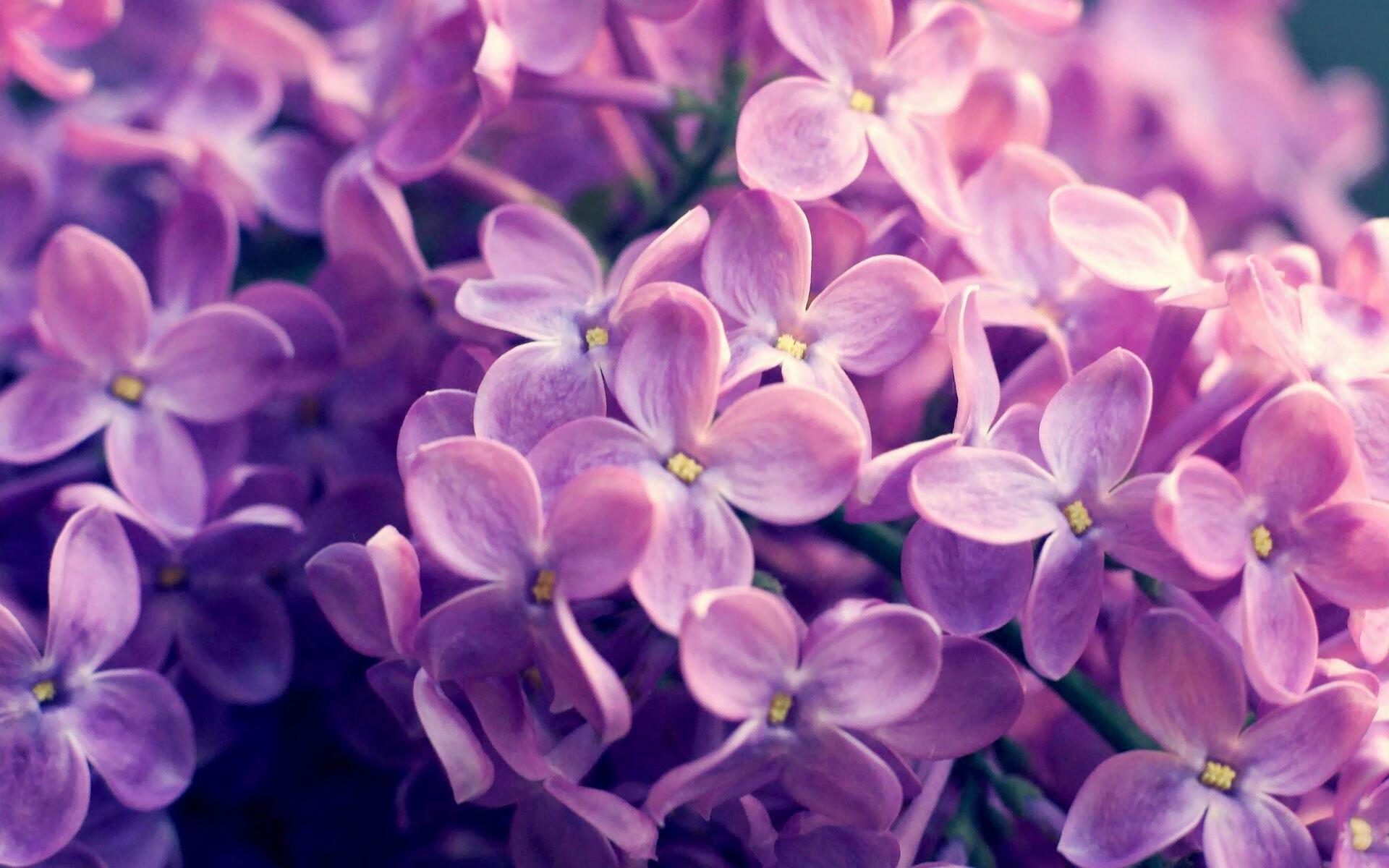 乐鱼电竞在线平台-田径赛道风云再起新人挑战纪录，田径运动赛