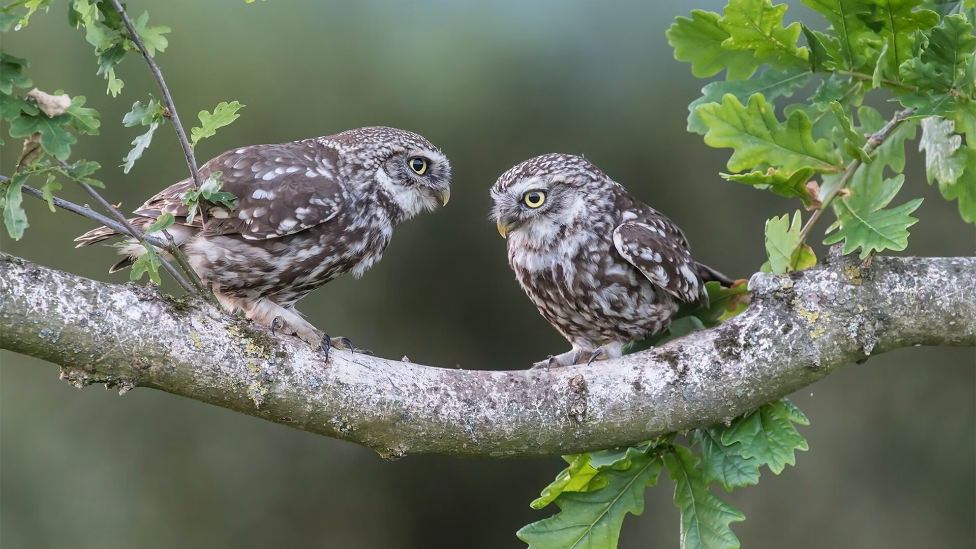 乐鱼电竞· (中国)官方网站-马赛全场压制控球时间大幅领先，马赛球员