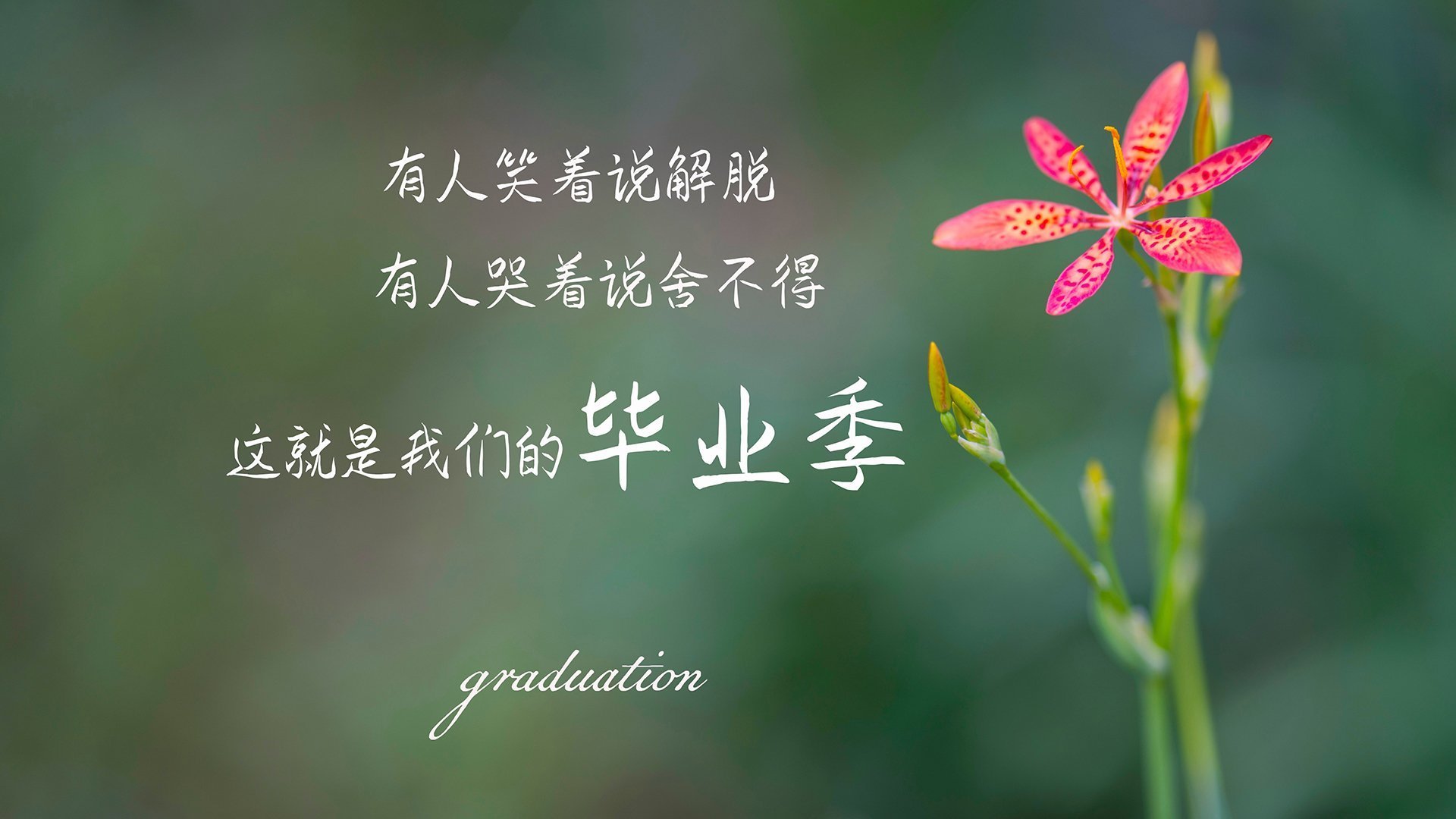 未来足球场馆将引入智能调节系统,打造智慧运动环境,专业足球场改造