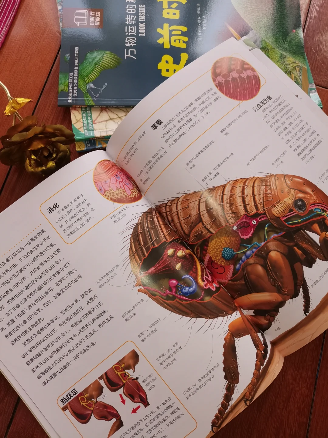 包含乐鱼体育：团队赢得比赛的背后：有效沟通的秘密的词条